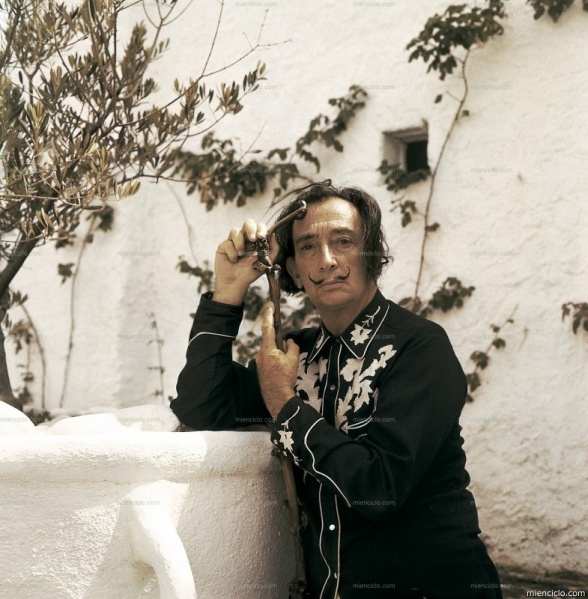 Dalí o la locura creadora 